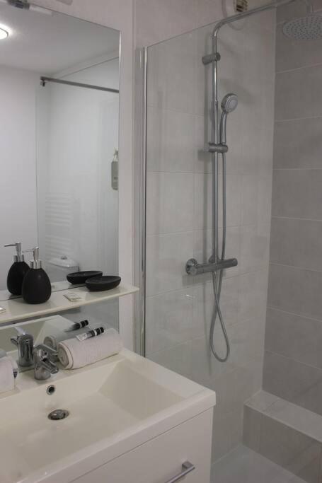 Appartement De Charme - Proche Centre-Ville Et Gare 蒙彼利埃 外观 照片